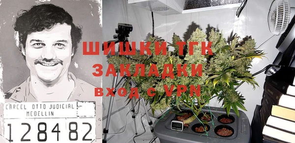 мдпв Касимов